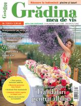 NR.07/2019
