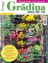 NR.08/2019
