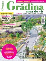 NR.09/2019
