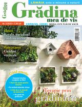 NR.05/2020