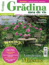 NR.06/2020