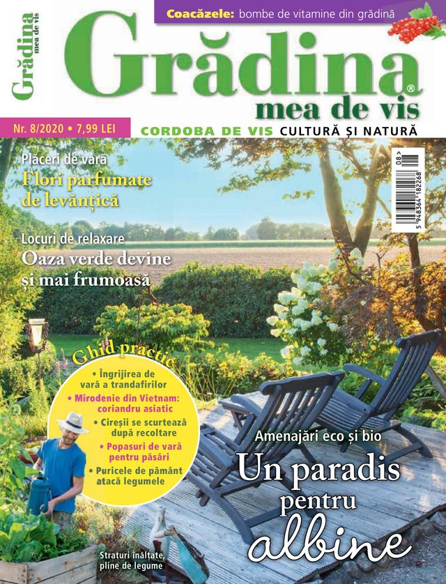 Gradina mea de vis