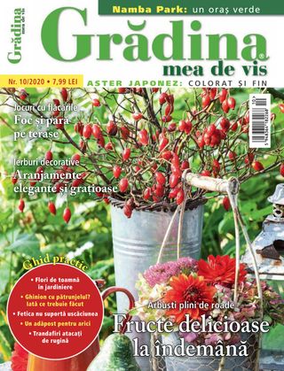 Gradina mea de vis - NR.11/2021 Gradina mea de vis Cover - NR.11/2021 Edition