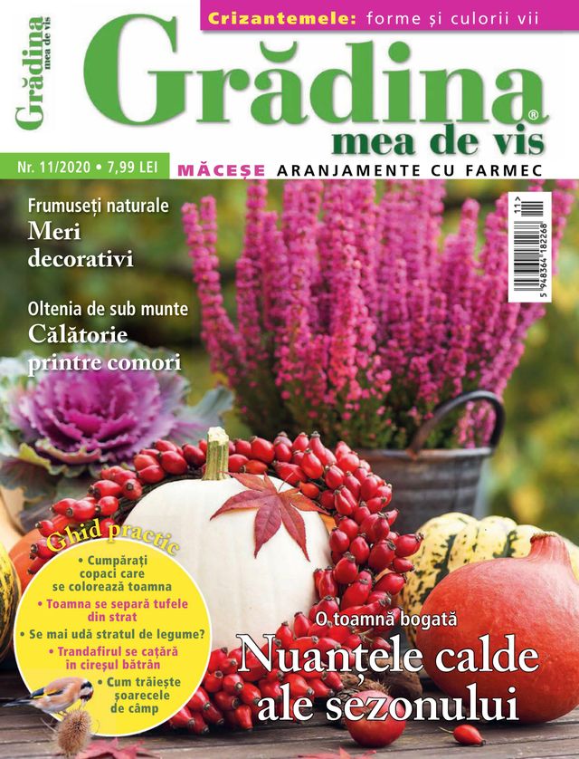 Gradina mea de vis
