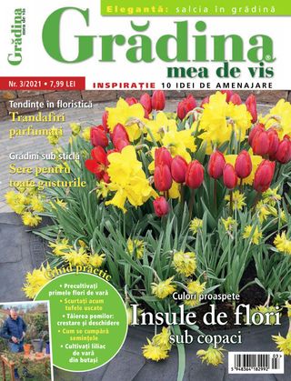 Gradina mea de vis - NR.11/2021 Gradina mea de vis Cover - NR.11/2021 Edition