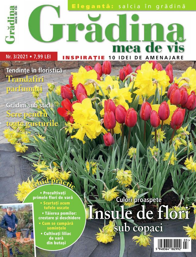 Gradina mea de vis