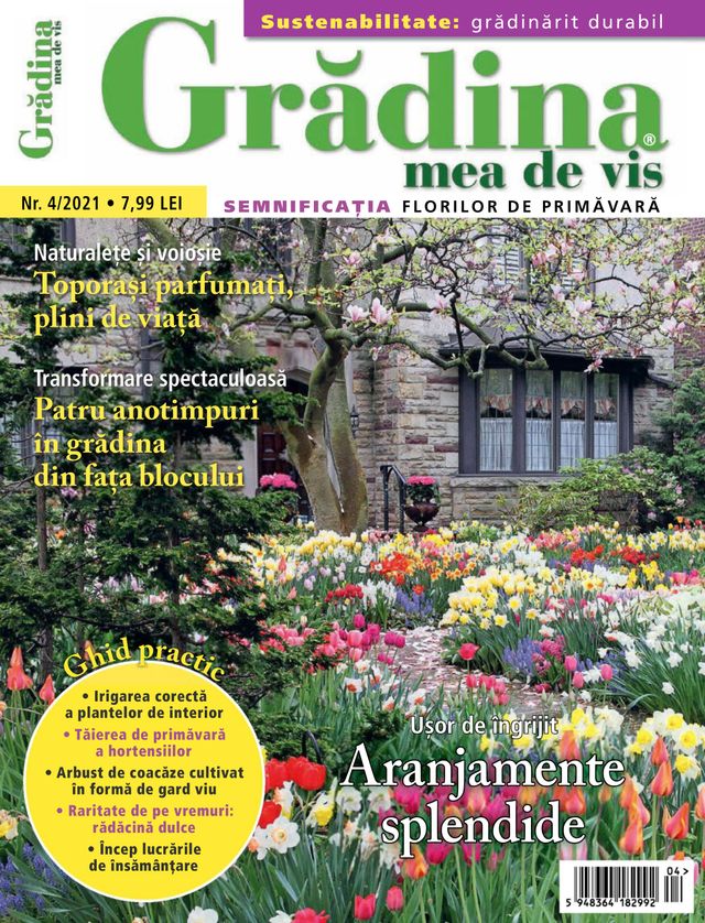Gradina mea de vis
