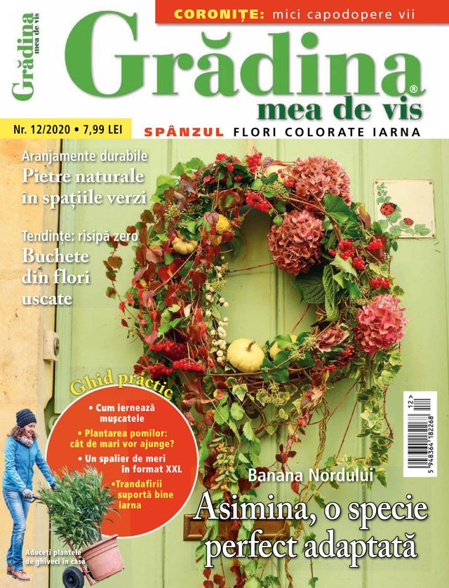 Gradina mea de vis