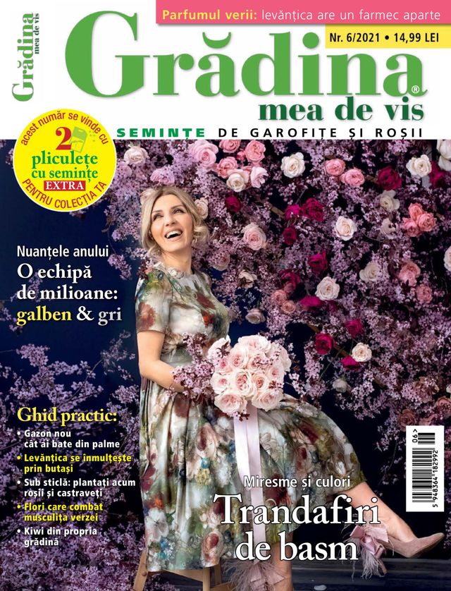 Gradina mea de vis