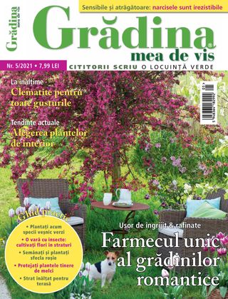 Gradina mea de vis - NR.11/2021 Gradina mea de vis Cover - NR.11/2021 Edition