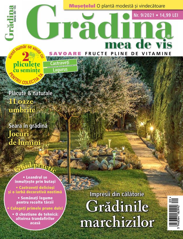 Gradina mea de vis