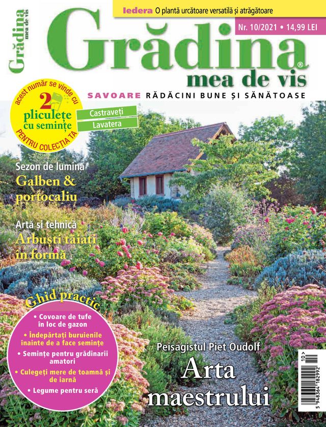Gradina mea de vis