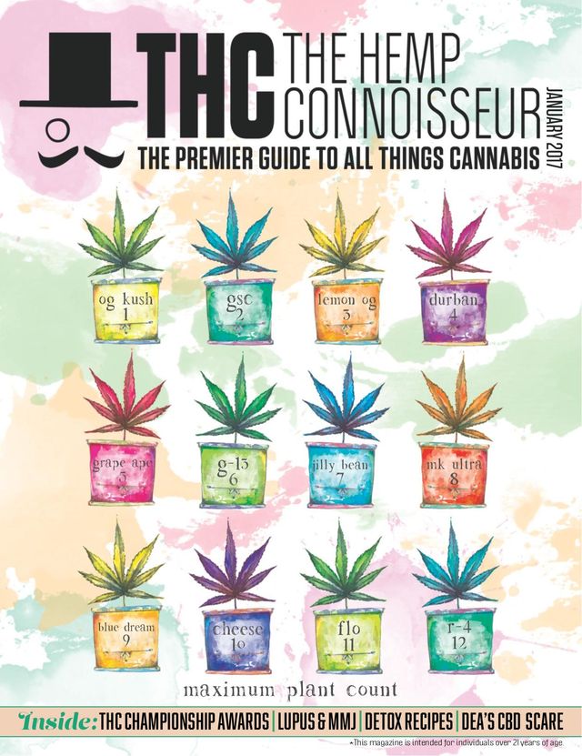 The Hemp Connoisseur CO