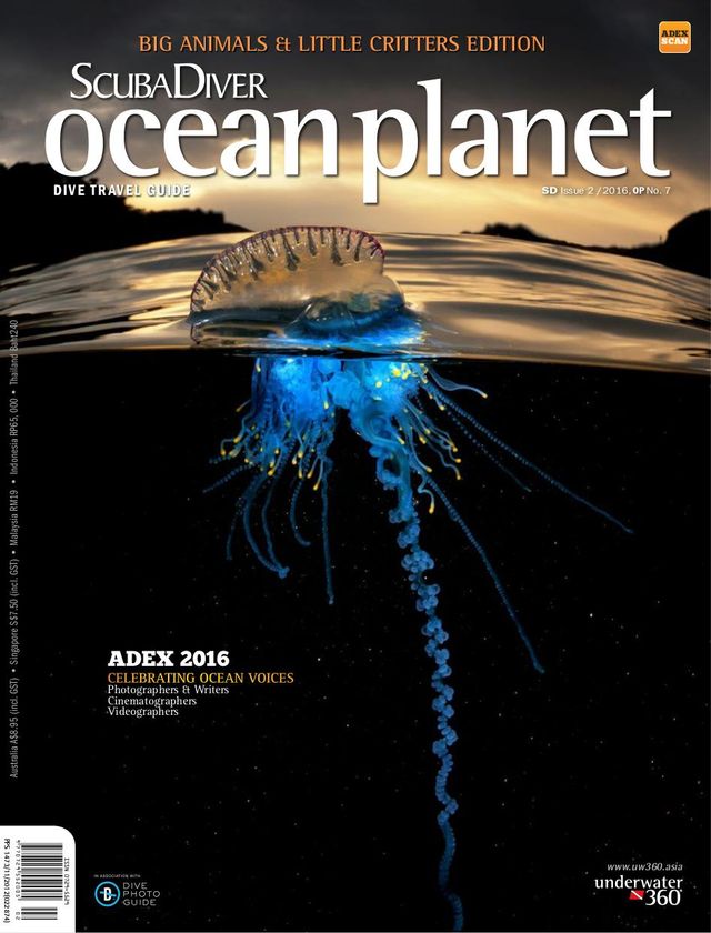 Scuba Diver - Ocean Planet