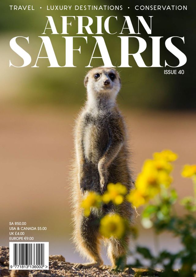 African Safaris
