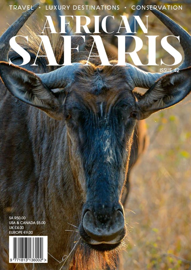 African Safaris