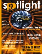 Vol 23 Issue 4