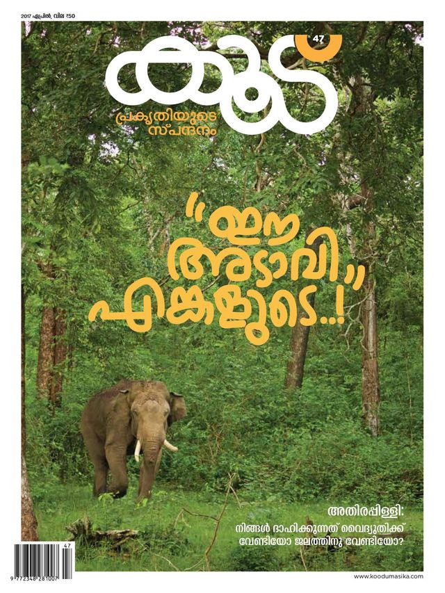Koodu - Heart Beat of Nature