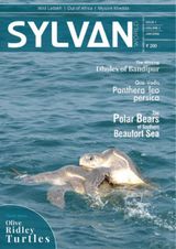 Volume 01 Issue 01