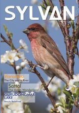 Volume 01 Issue 03