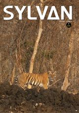 Volume 1, Issue 4