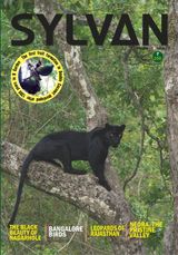 Volume 01 Issue 05