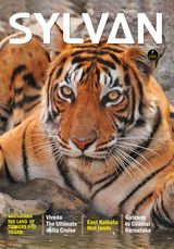 Volume 1 Issue 6