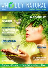 Issue 5