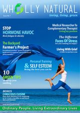 Issue 1