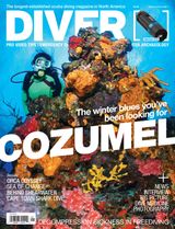 Volume 43 Issue 1