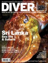 Volume 43 Issue 2