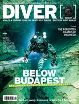 Volume 43 Issue 5