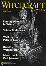 Issue 25