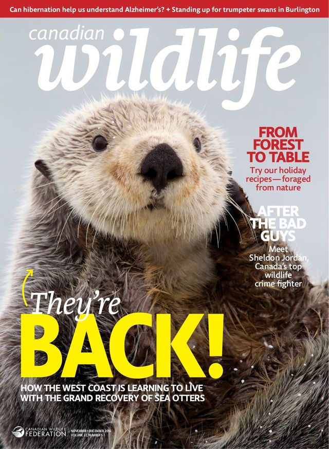 Vuélvete ilimitado con Magzter GOLD