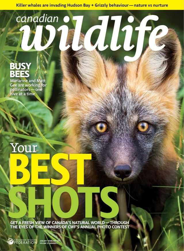 Vuélvete ilimitado con Magzter GOLD