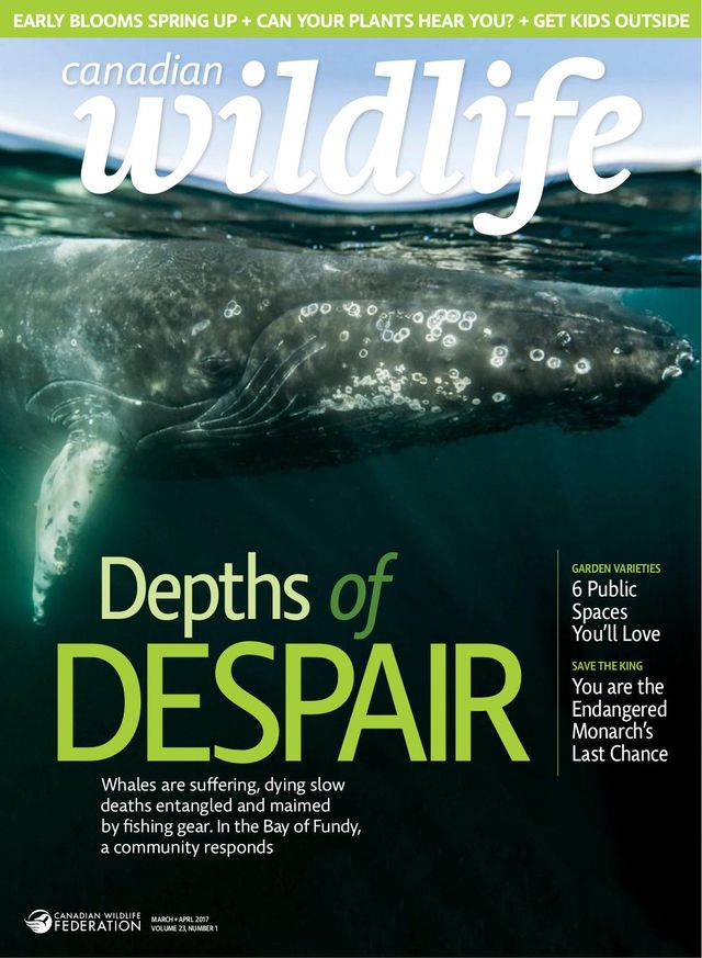 Vuélvete ilimitado con Magzter GOLD