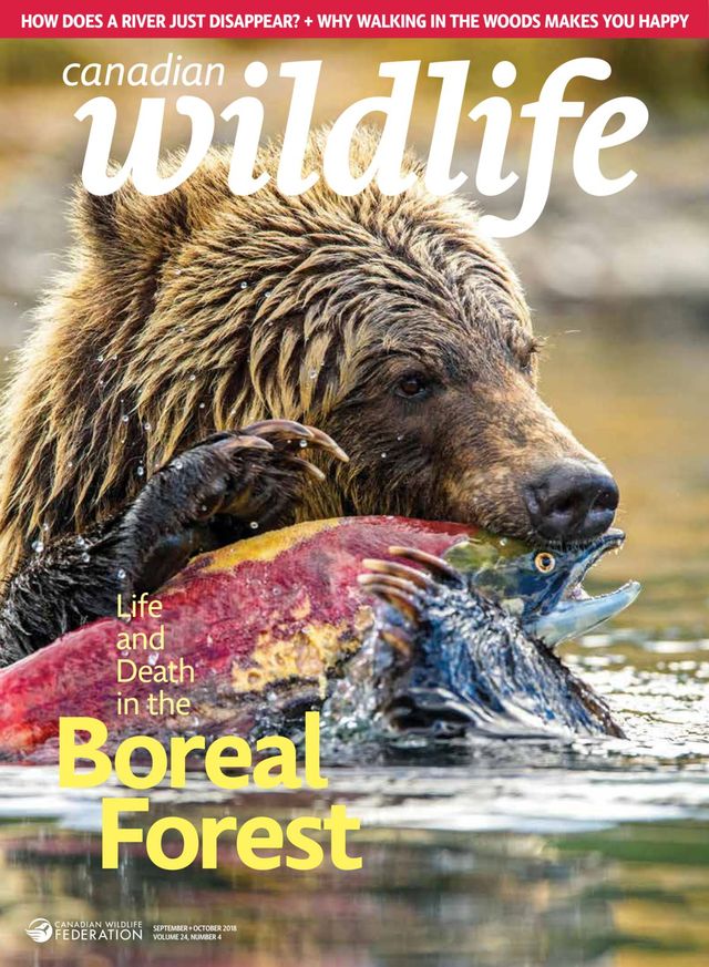 Ga onbeperkt met Magzter GOLD