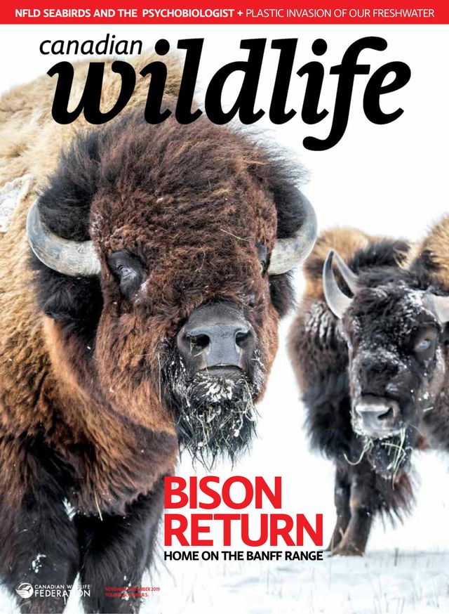 Vuélvete ilimitado con Magzter GOLD