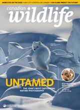 Canadian Wildlife