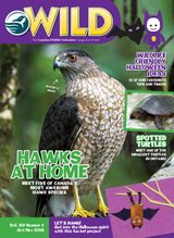 October/November 2016