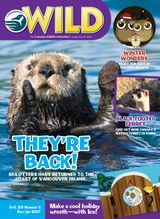 December/January 2017