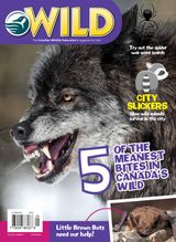 October/November 2017