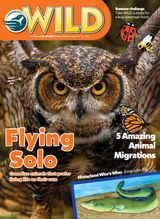 August/September 2019