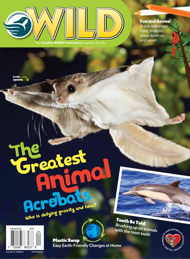 استمتع بـUnlimited مع Magzter GOLD