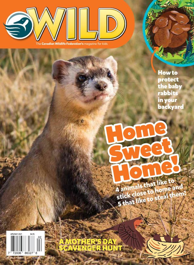 Magzter GOLDで無制限に