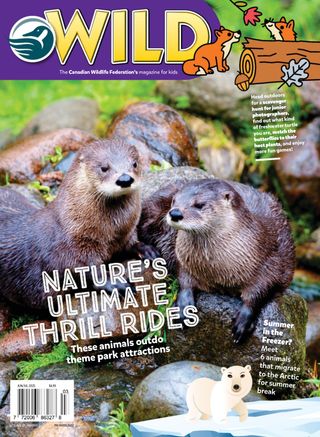 Wild Canada - June/July 2025 Wild Canada Cover - June/July 2025 Edition