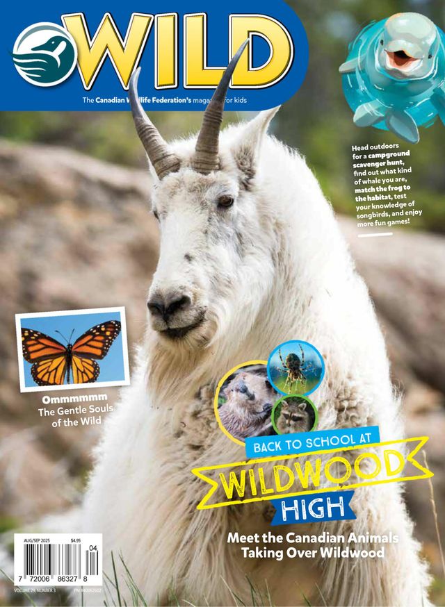 Passez à l'illimité avec Magzter GOLD