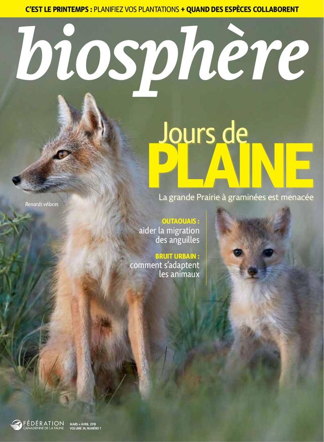 Biosphère