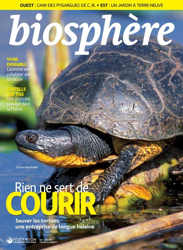 Biosphère