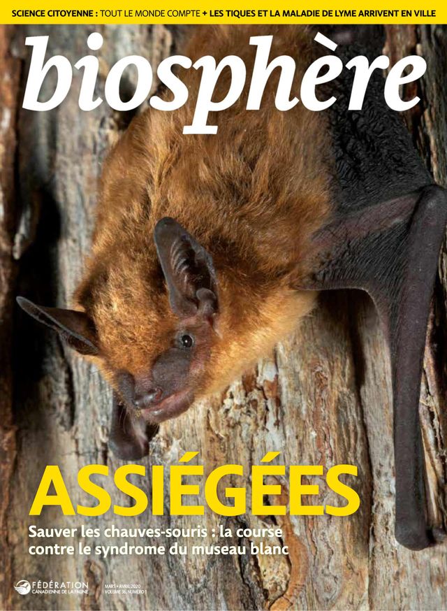 Biosphère